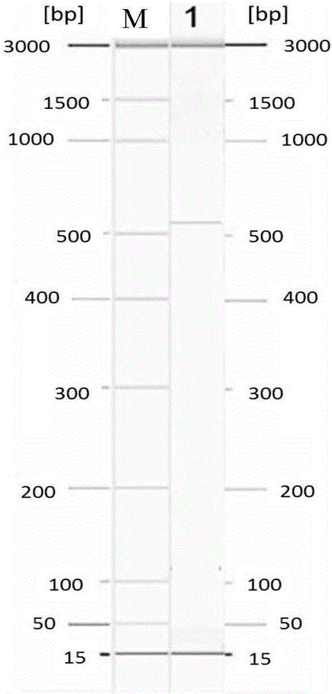 Primer group and kit for detecting seven kinds of diarrhea viruses through multiple PCR (polymerase chain reaction), and detecting method of seven kinds of diarrhea viruses