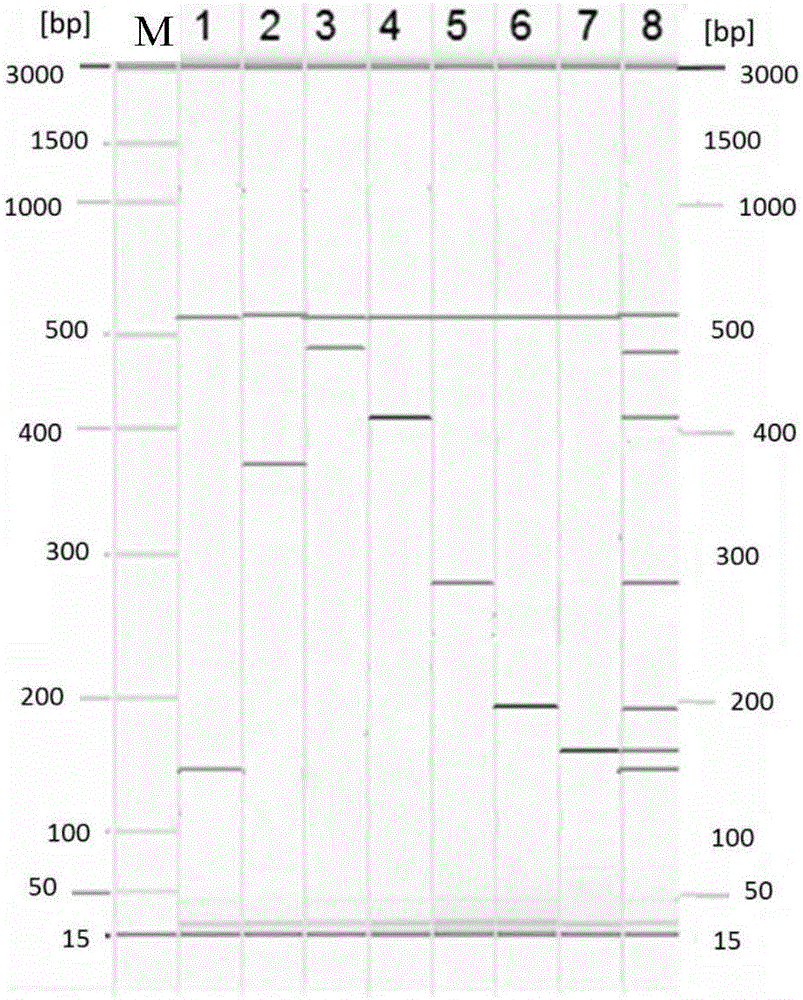 Primer group and kit for detecting seven kinds of diarrhea viruses through multiple PCR (polymerase chain reaction), and detecting method of seven kinds of diarrhea viruses