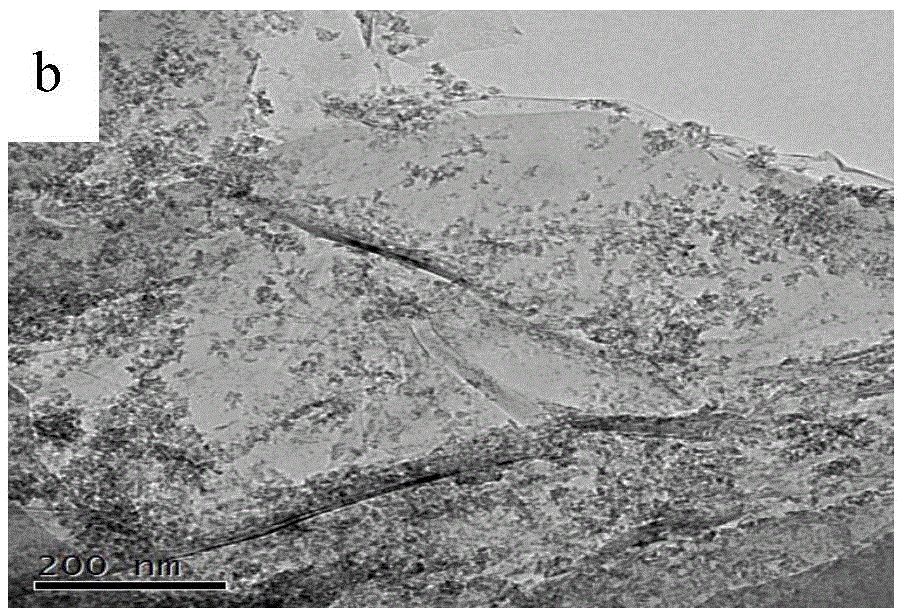 TiO2-reduced graphene composite and preparation method thereof and application of TiO2-reduced graphene composite to artificial sea water system