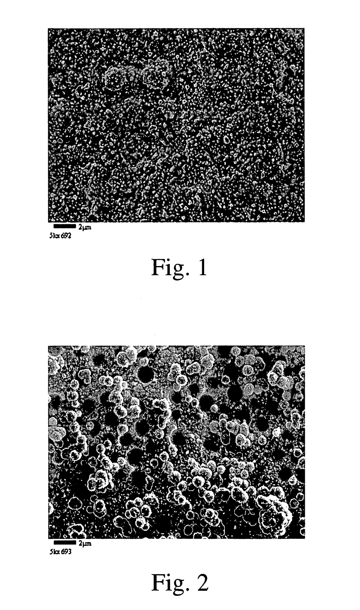 Porous electrolessly deposited coatings