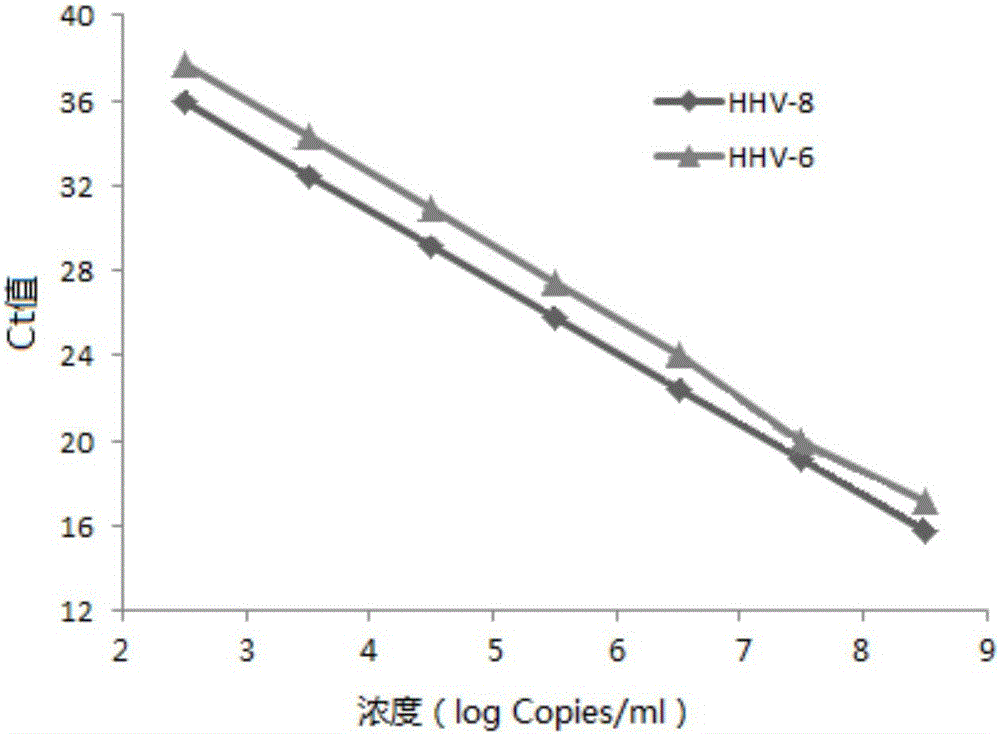 Primer, probe and kit for simultaneously detecting human herpesvirus 6 and 8