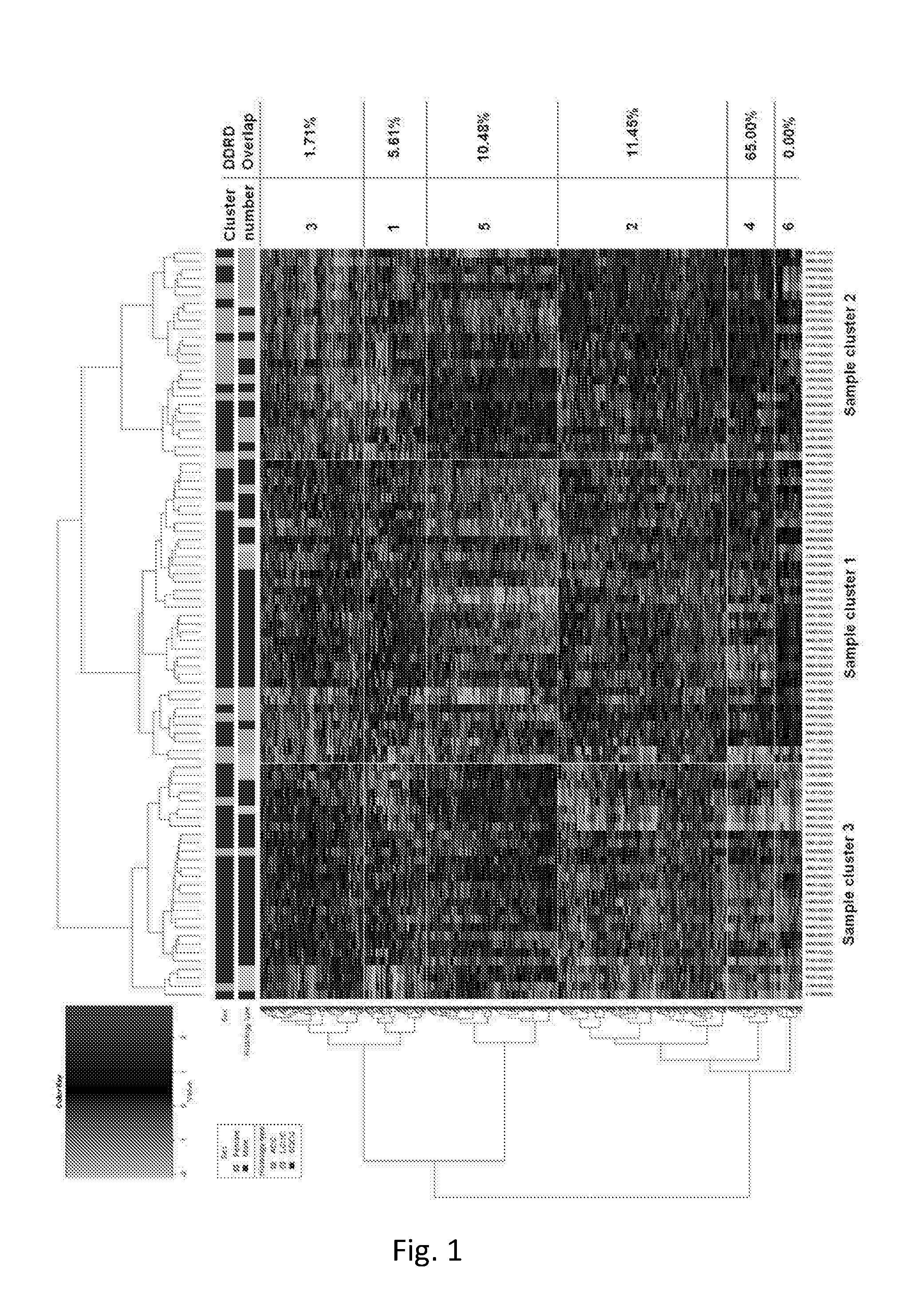 Molecular diagnostic test for lung cancer