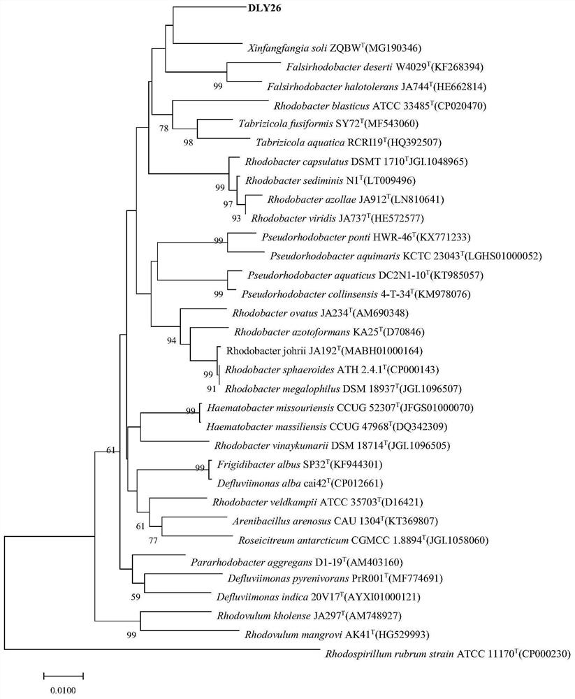 Amidase xam and its encoding gene and application