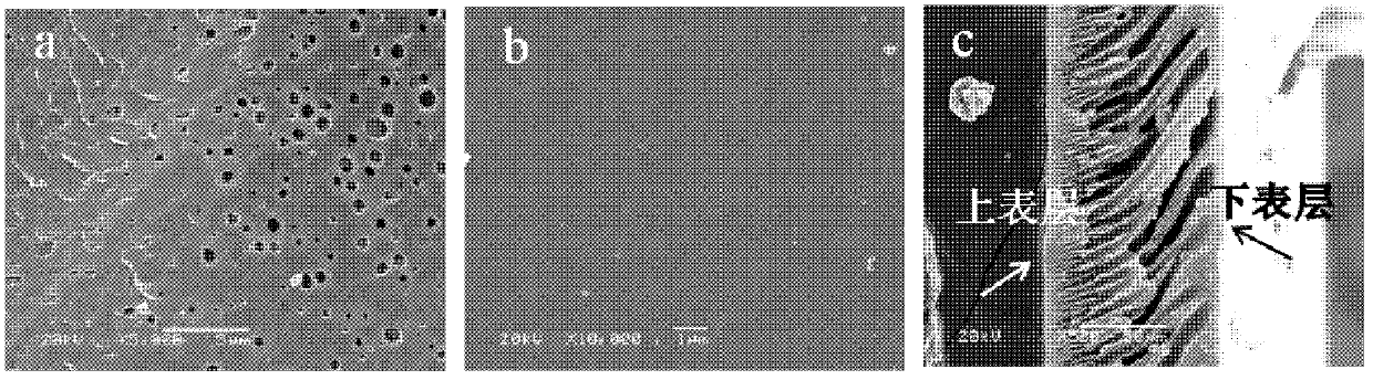 Porous membrane for hydrogen-chloride fuel battery, as well as preparation method and application of porous membrane