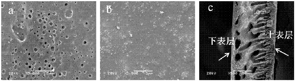 Porous membrane for hydrogen-chloride fuel battery, as well as preparation method and application of porous membrane