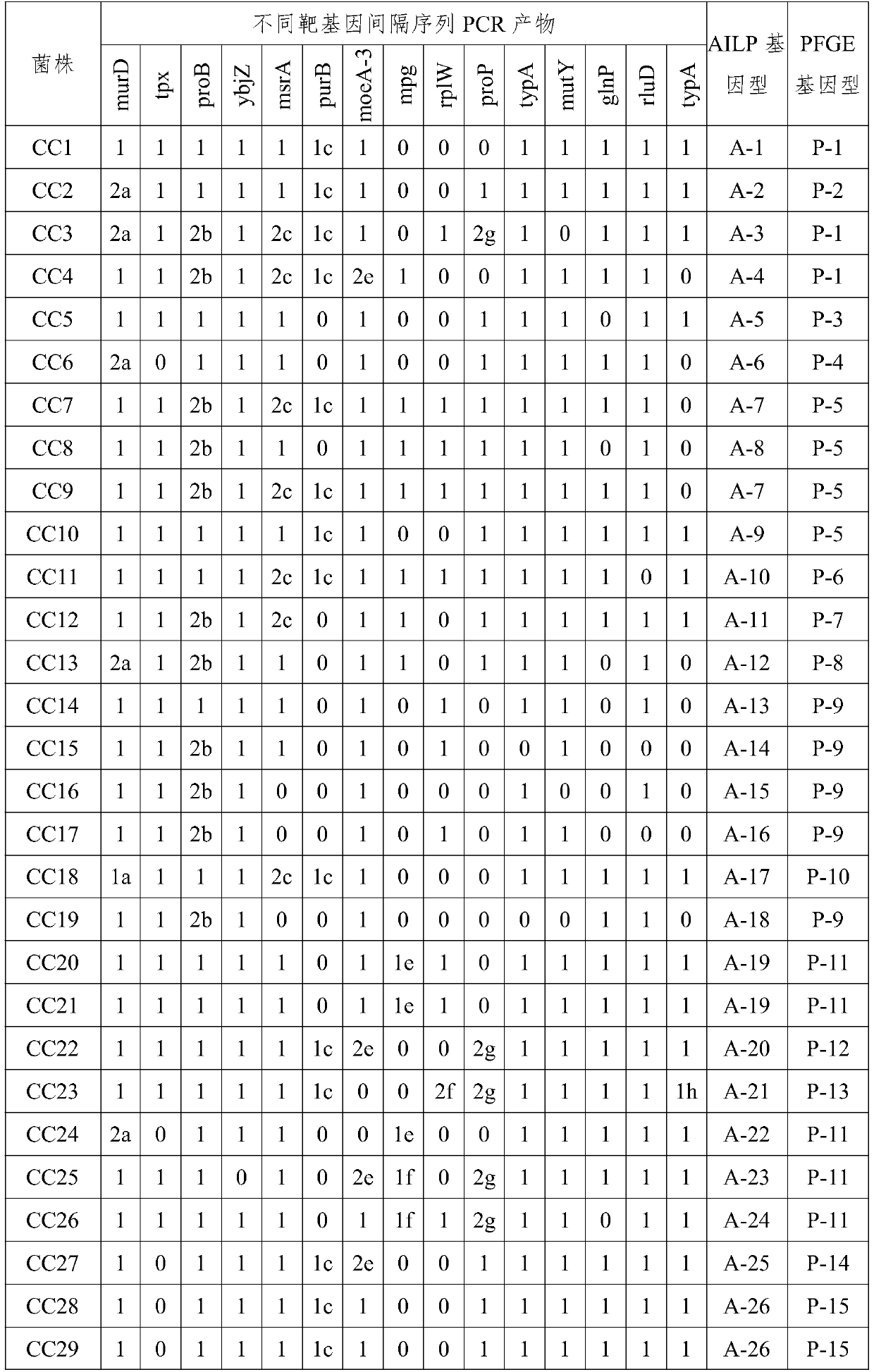 A primer and method for rapid typing of Campylobacter coli