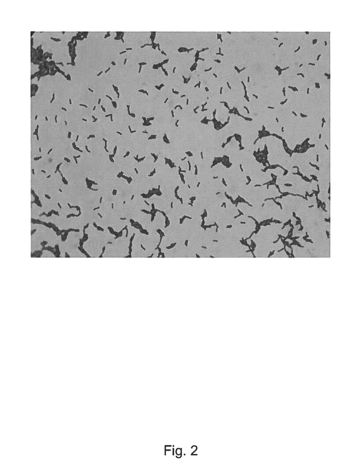 Strains of lactic acid bacteria for preventing necrotizing enterocolitis