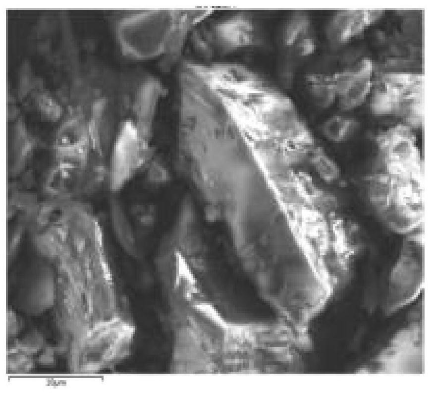 Silicon-calcium-magnesium fertilizer soil conditioner as well as preparation method and application thereof