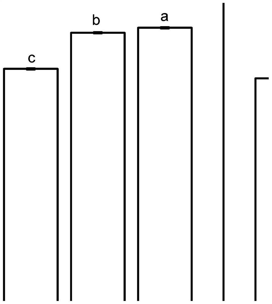 Silicon-calcium-magnesium fertilizer soil conditioner as well as preparation method and application thereof