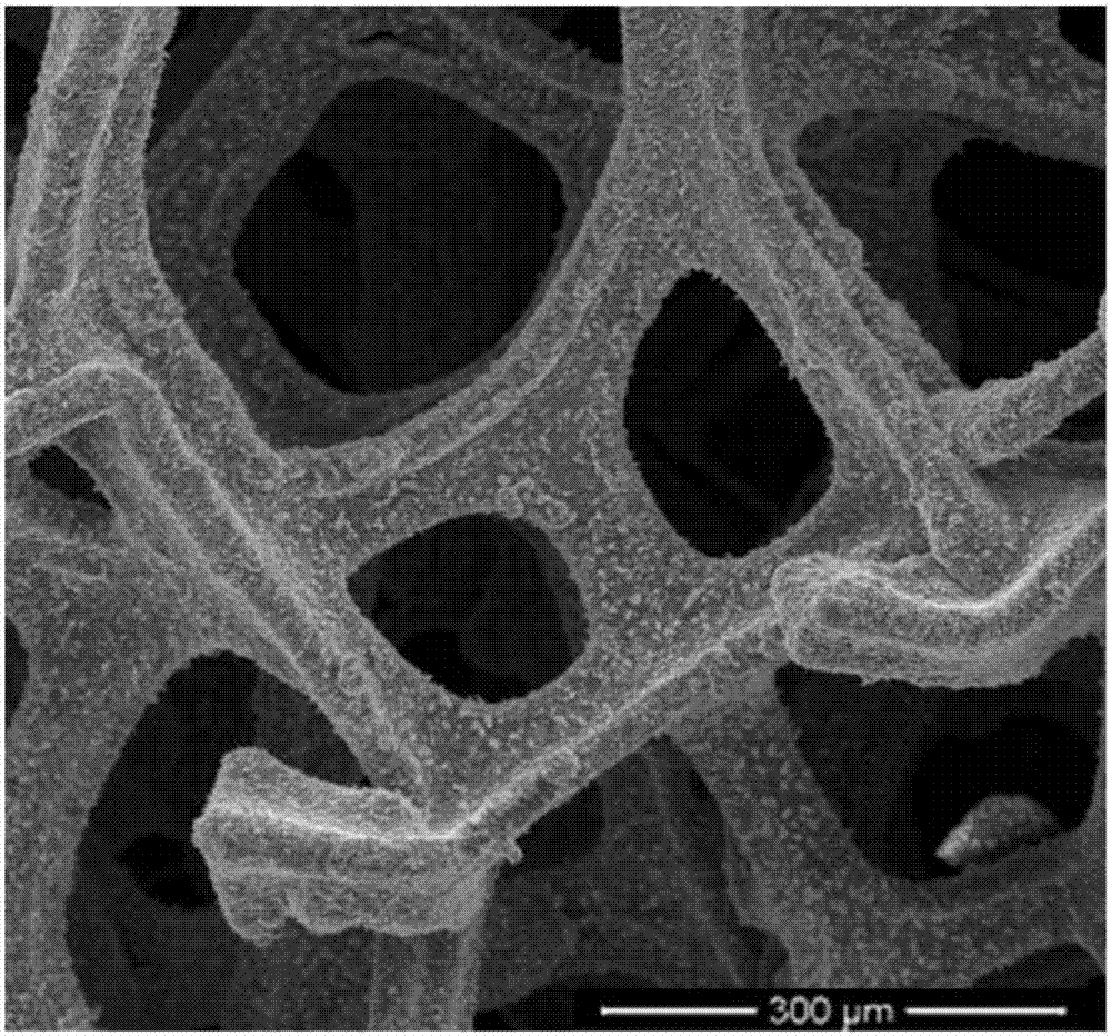 Nickel-sulfur composite hydrogen evolution electrode doped with foamed nickel load CeO2 and preparation method