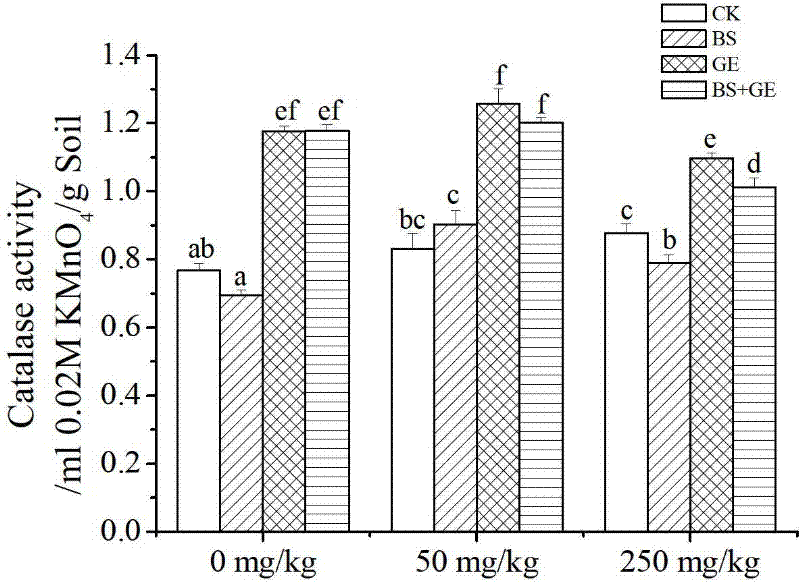 Remediation method of soil polycyclic aromatic hydrocarbon by combining surfactant producing bacteria and mycorrhiza