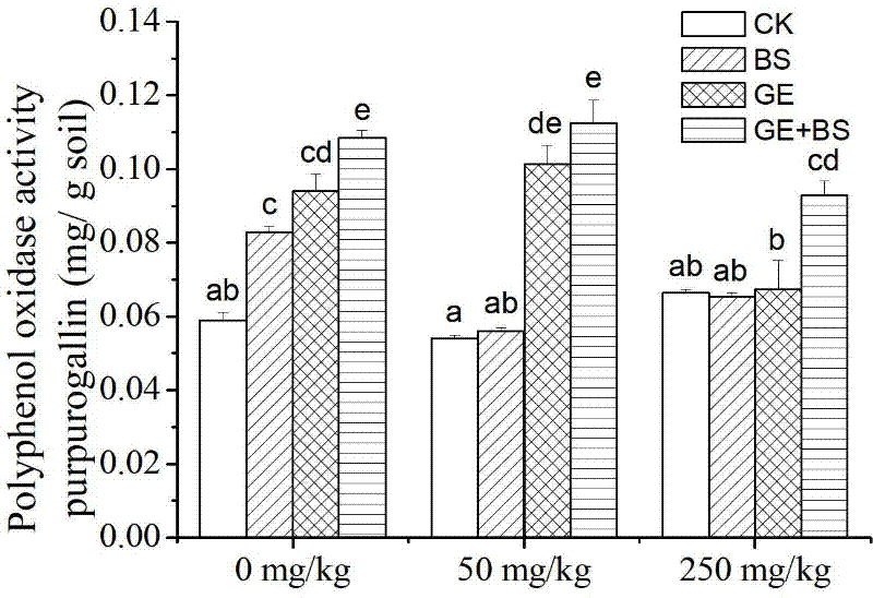 Remediation method of soil polycyclic aromatic hydrocarbon by combining surfactant producing bacteria and mycorrhiza