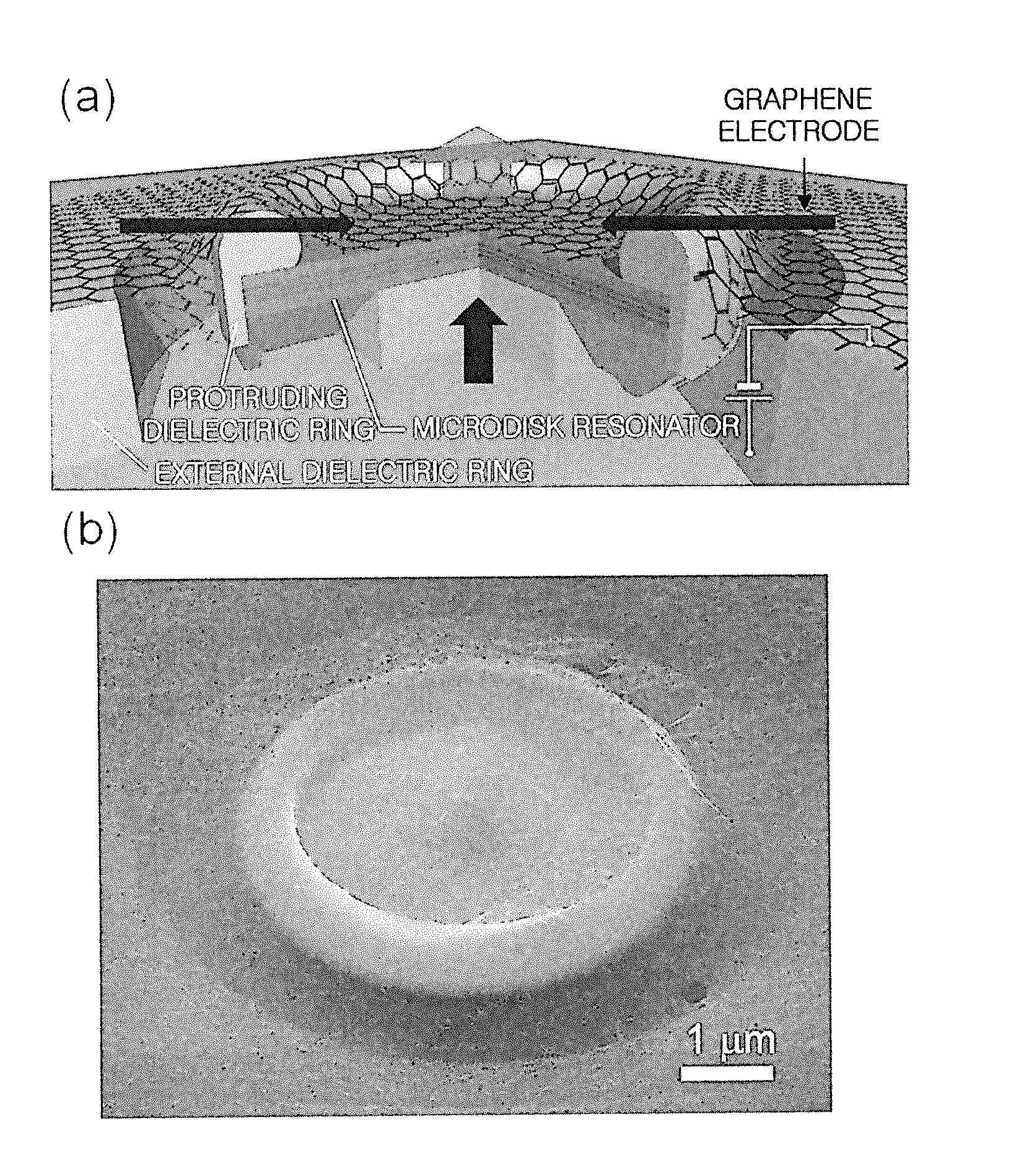 Nanolaser generator using graphene electrode and method for manufacturing the same