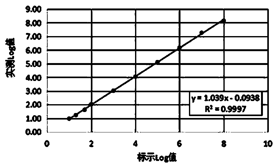 Kit stored at 2 to 8 DEG C and used for rapidly detecting hepatis c virus nucleic acid