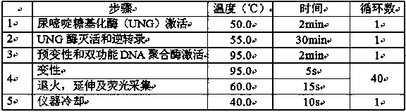 Kit stored at 2 to 8 DEG C and used for rapidly detecting hepatis c virus nucleic acid