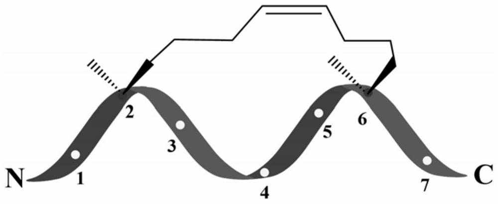 A kind of enzymolysis-resistant α-helical antimicrobial peptide bound by full carbon and hydrogen side chains, its preparation method and application