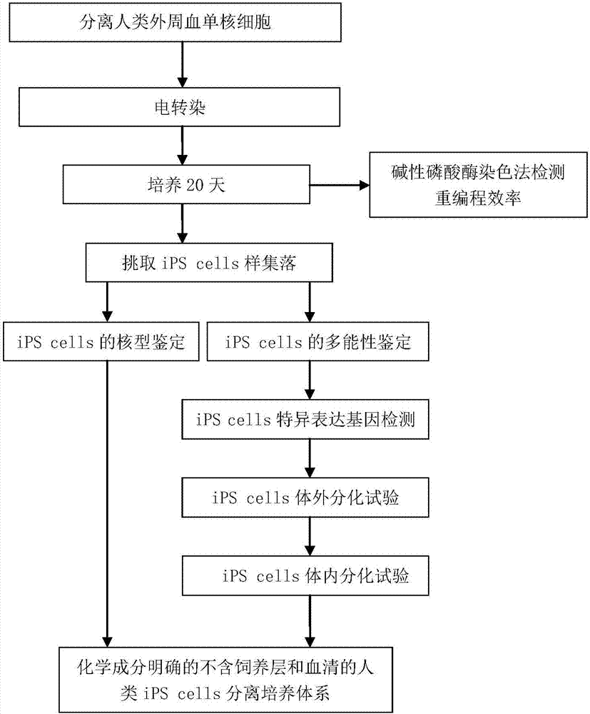 Feeder-free and serum-free human induced pluripotent stem cell isolation culture method