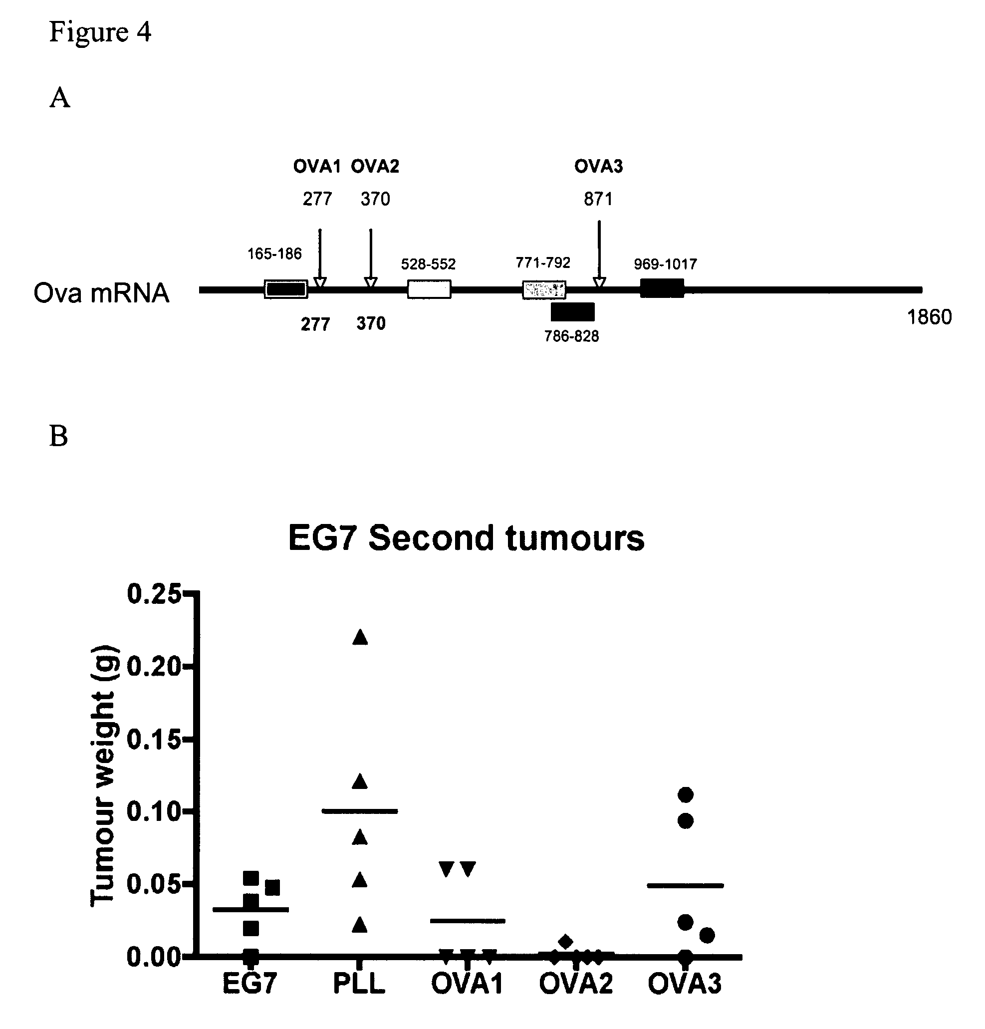 Method of inducing an immune response