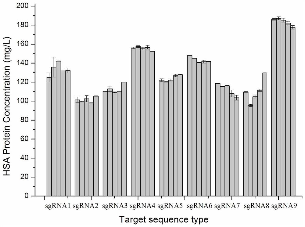 Site for stably expressing protein in CHO cell gene NW_003614092.1 and application of site