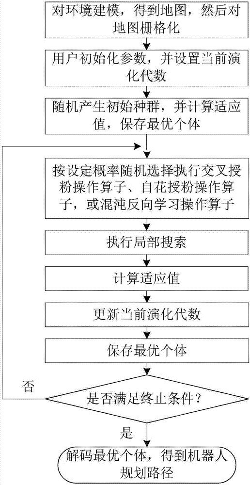 Robot path planning method based on chaotic backward flower pollination algorithm