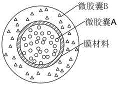 Novel clothianidin-containing pesticide fertilizer for preventing and controlling insect diseases and preparation method thereof