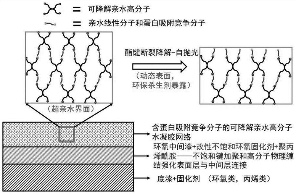 A kind of bionic antifouling paint and its preparation method and application