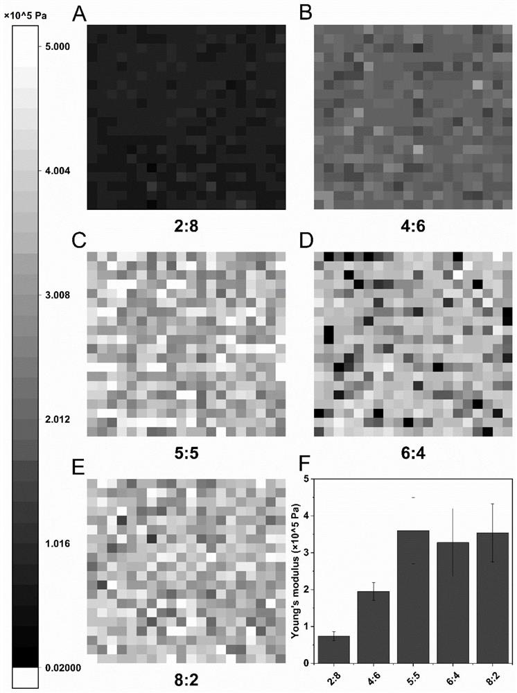 A kind of bionic antifouling paint and its preparation method and application