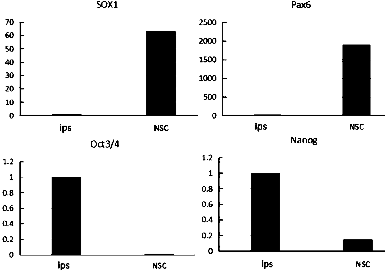 Novel serum-free medium for inducing neural stem cells and application of novel serum-free medium