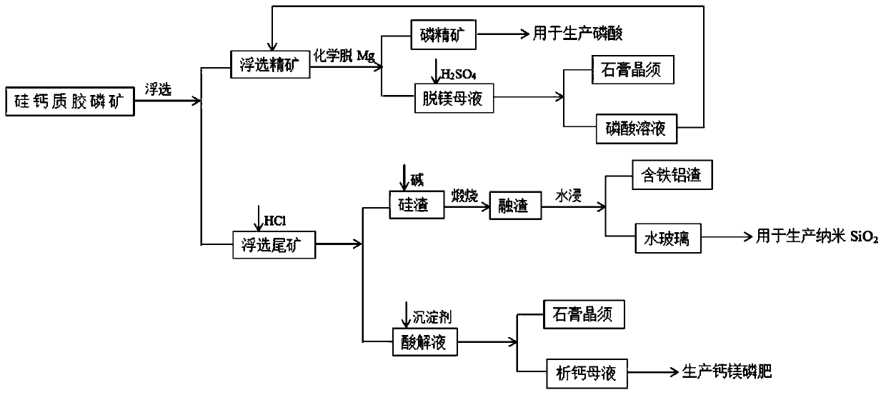 Treatment method of silico-calcareous collophanite