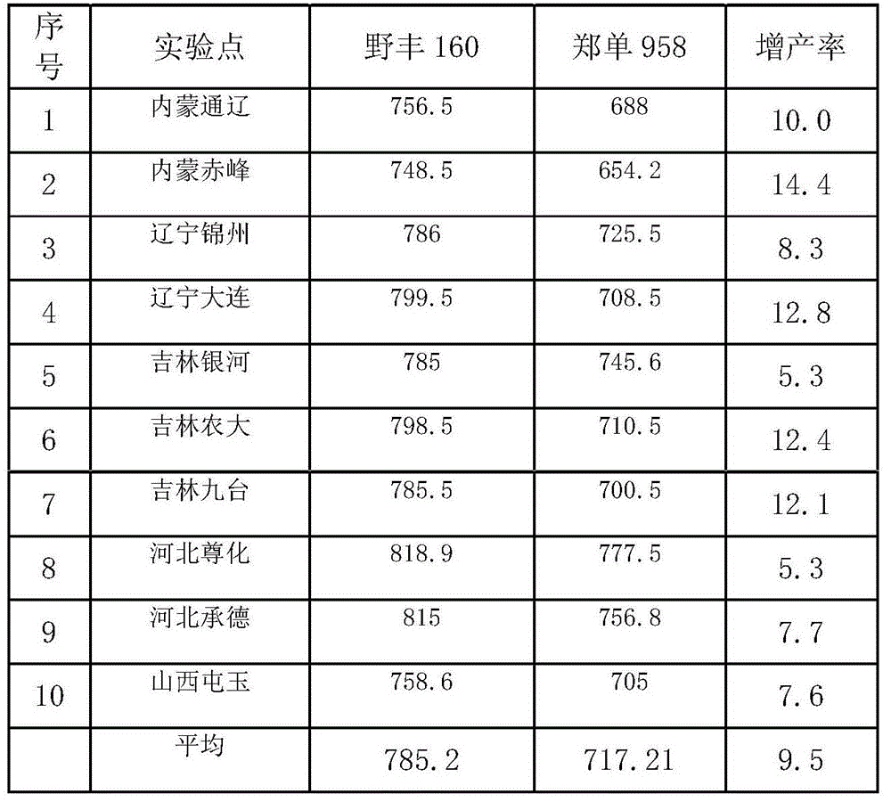 Seed production method of corn hybrid Yefeng 160