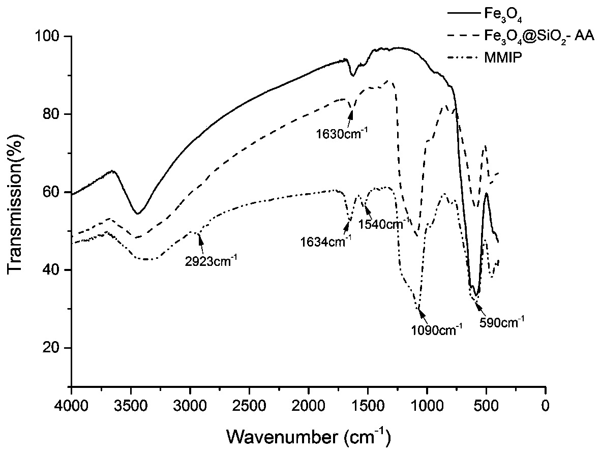 A molecularly imprinted magnetic nanoparticle that specifically adsorbs bovine hemoglobin