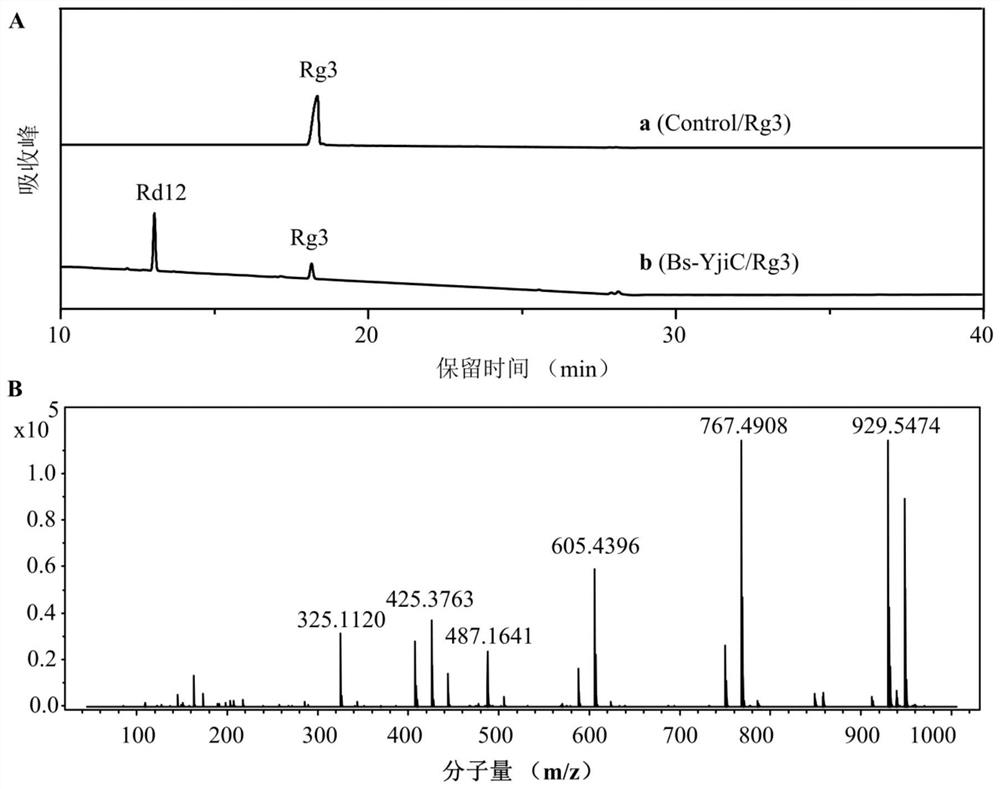 A kind of unnatural ginsenoside rd12 and its preparation method and application