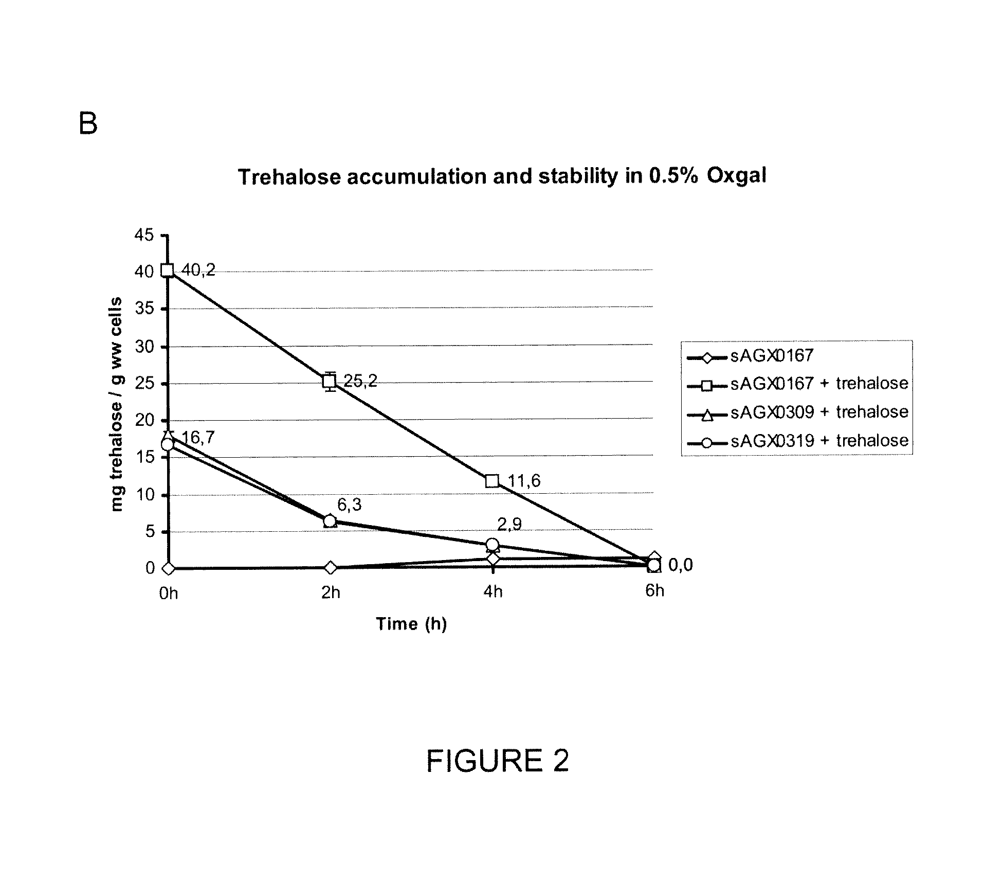 Modified gram positive bacteria and uses thereof