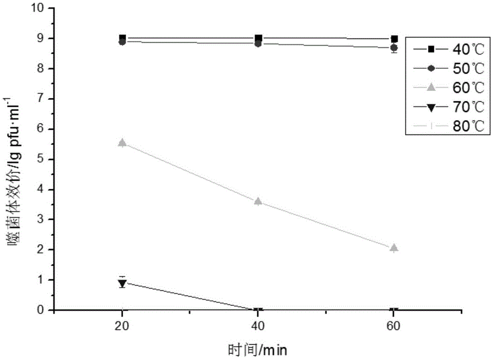 Methicillin-resistant staphylococcus epidermidis staphylococcus aureus bacteriophage and antimicrobial application thereof