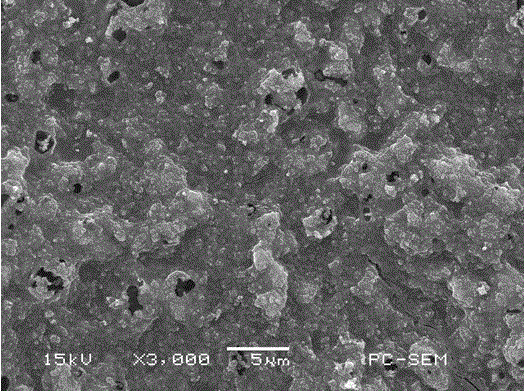 A kind of gel polymer binder for lithium-sulfur battery electrode material and preparation method thereof