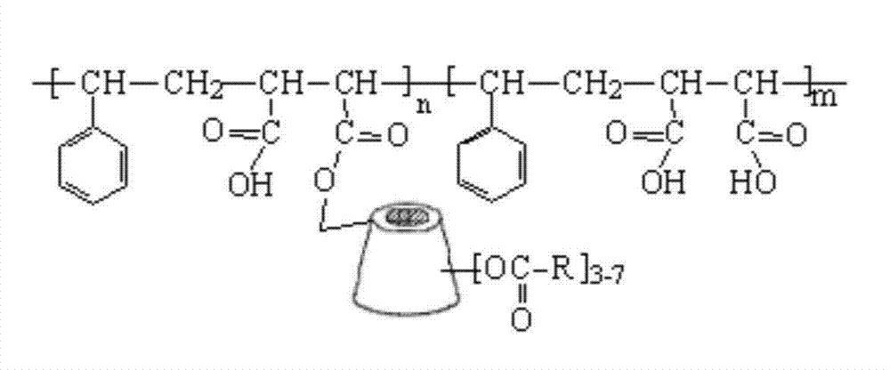 Cyclodextrin immobilized macromolecular polymer and preparation method and application thereof