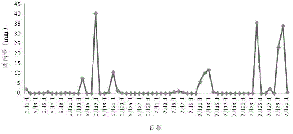 Harmonious seeding time/density cultivation method for corn-soybean strip relay intercrops