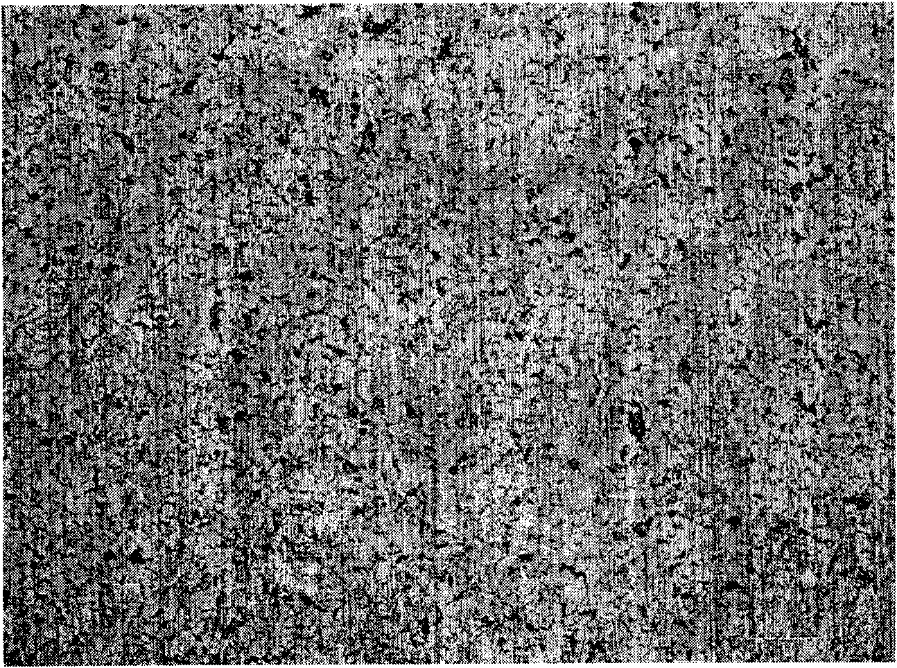 Precise polishing method of stainless steel substrate