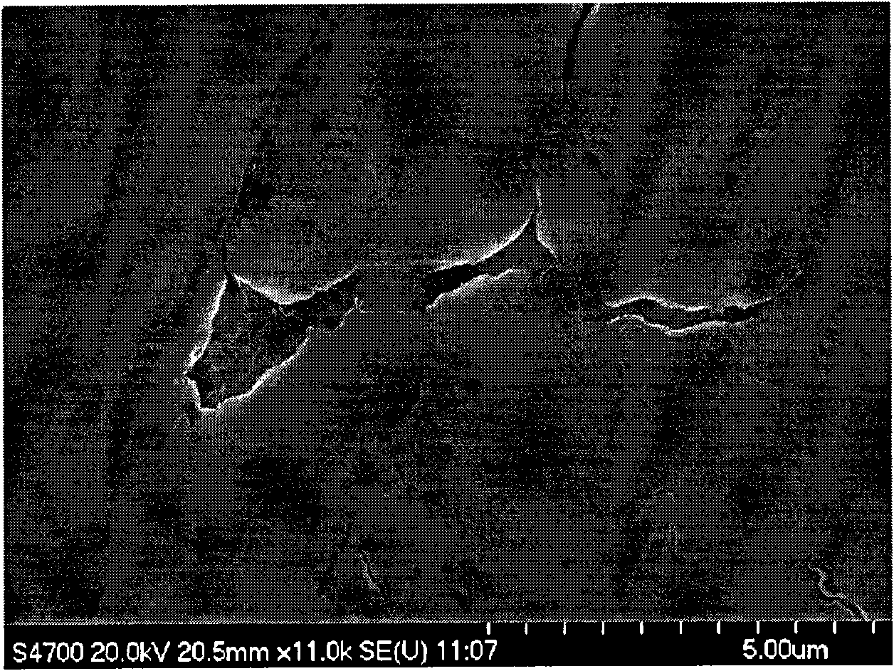 Precise polishing method of stainless steel substrate