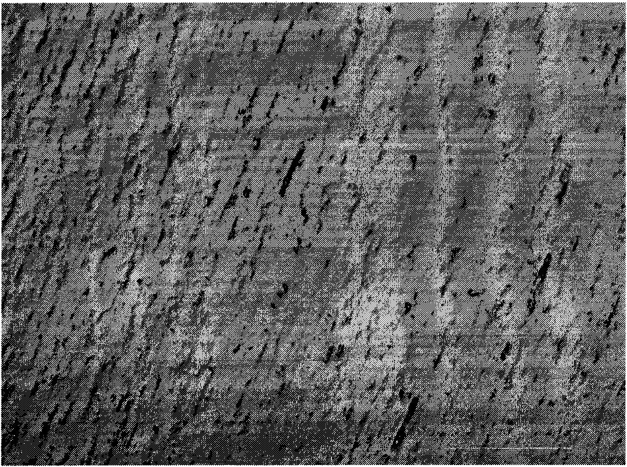 Precise polishing method of stainless steel substrate