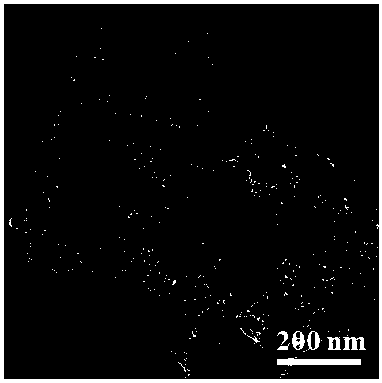 Nitrogen-doped carbon-inlaid non-noble metal catalyst and preparation method and application thereof