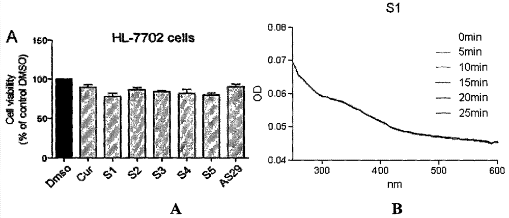 Application of curcumin analog S1 containing piperidone structure in preparation of anti-inflammation drugs