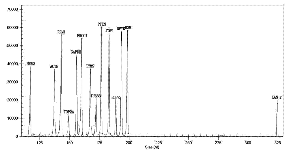 Multiple-gene detecting kit related to antitumor drugs