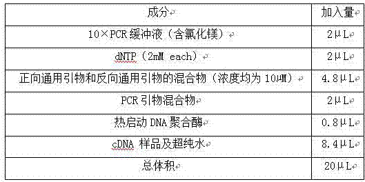 Multiple-gene detecting kit related to antitumor drugs