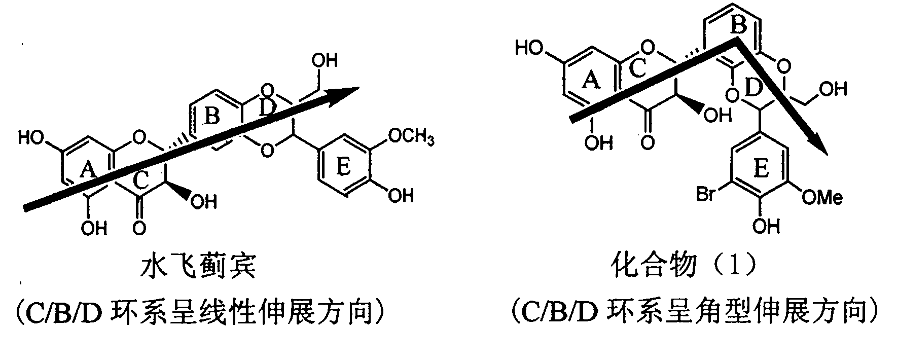 Preparation of brominated flavanonollignan and application in medicine for treating viral hepatitis B