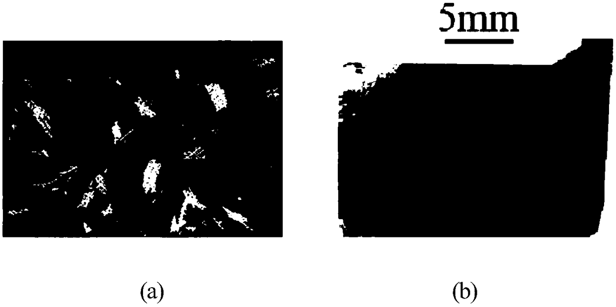 Integrated forming method and integrated forming device for large complex thin-walled fine grain casting