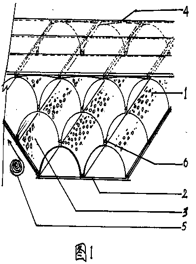 Combination of arch-shaped water storage device and inclined pool wall site