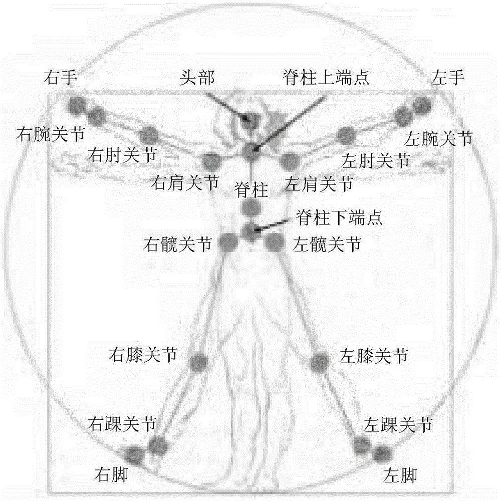 Behavior identification method based on recurrent neural network and human skeleton movement sequences