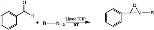 A kind of method for synthesizing oxaziridine by chemical enzymatic method