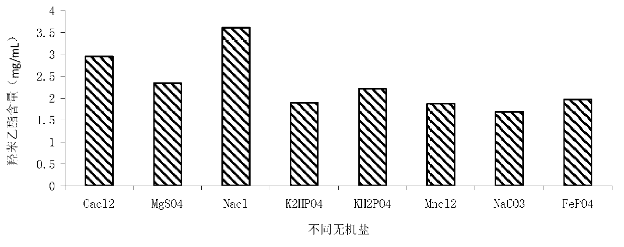 Ethylparaben-producting fermentation medium of brevibacillus brevis strain and fermentation method